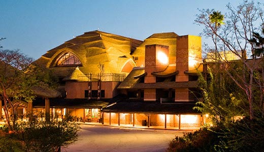 saveology daily deal - 3 Nights for Two Adults and Up to Three Kids at Disney's Animal Kingdom Lodge - Orlando, Florida 