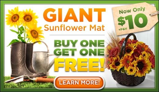 saveology daily deal - Buy One Giant Sunflower Mat For $10 & Get One Free