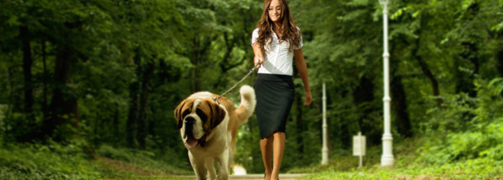 Saveology coupon