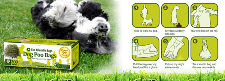 Saveology coupon