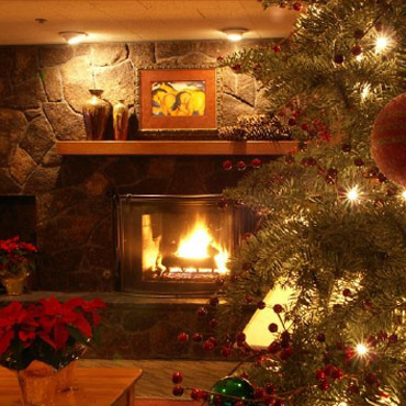 Xmastrees-med-1