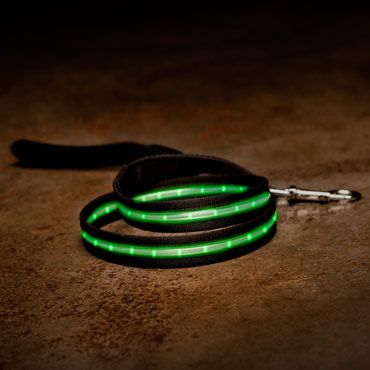 Led-collars-and-leashes-med-1