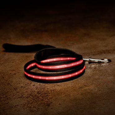 Led-collars-and-leashes-med-2