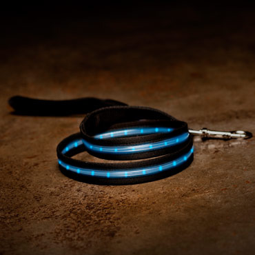 Led-collars-and-leashes-med
