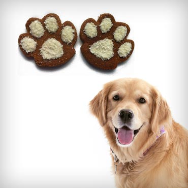 Pawsitively-homemade-holiday-dog-treats-med-1
