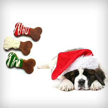 Pawsitively-homemade-holiday-dog-treats-med-2