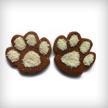 Pawsitively-homemade-holiday-dog-treats-med